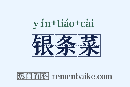 银条菜是什么意思的图片